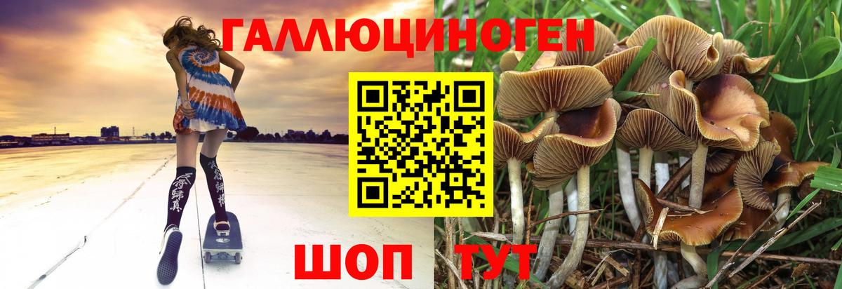 Сальск  Псилоцибиновые грибы прущие грибы  Вход с VPN 